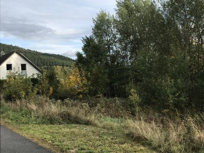 Thumbnail-Feines kleines Grundstück mit Südausrichtung im Edertal in Bad Berleburg - Schwarzenau
