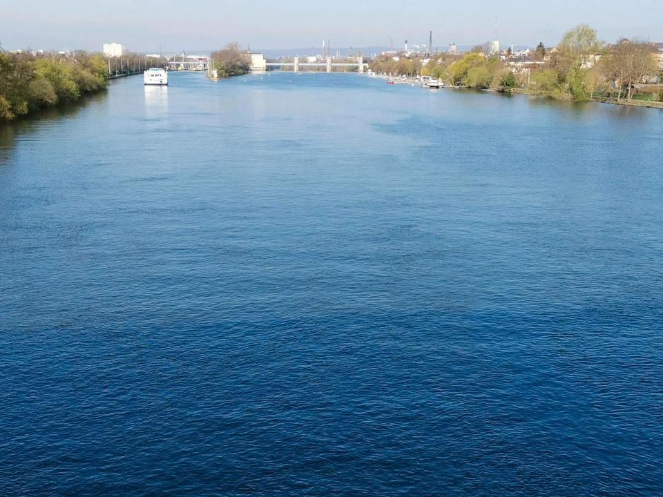 Thumbnail-Frankfurt: Schöne, helle 3ZW Nähe Main, Park u. S-Bhf in 6-FH