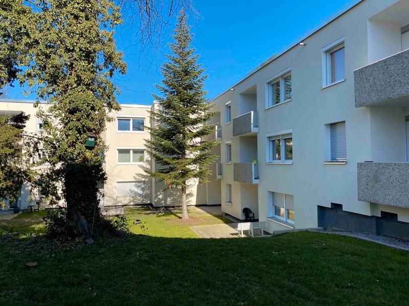 Thumbnail-1-Zimmer Single Appartment mit sonniger Terrasse!