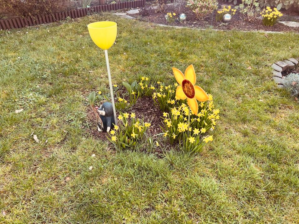 Thumbnail-Wohnung zu vermieten, vier Zimmer ein großer Hobbyraum