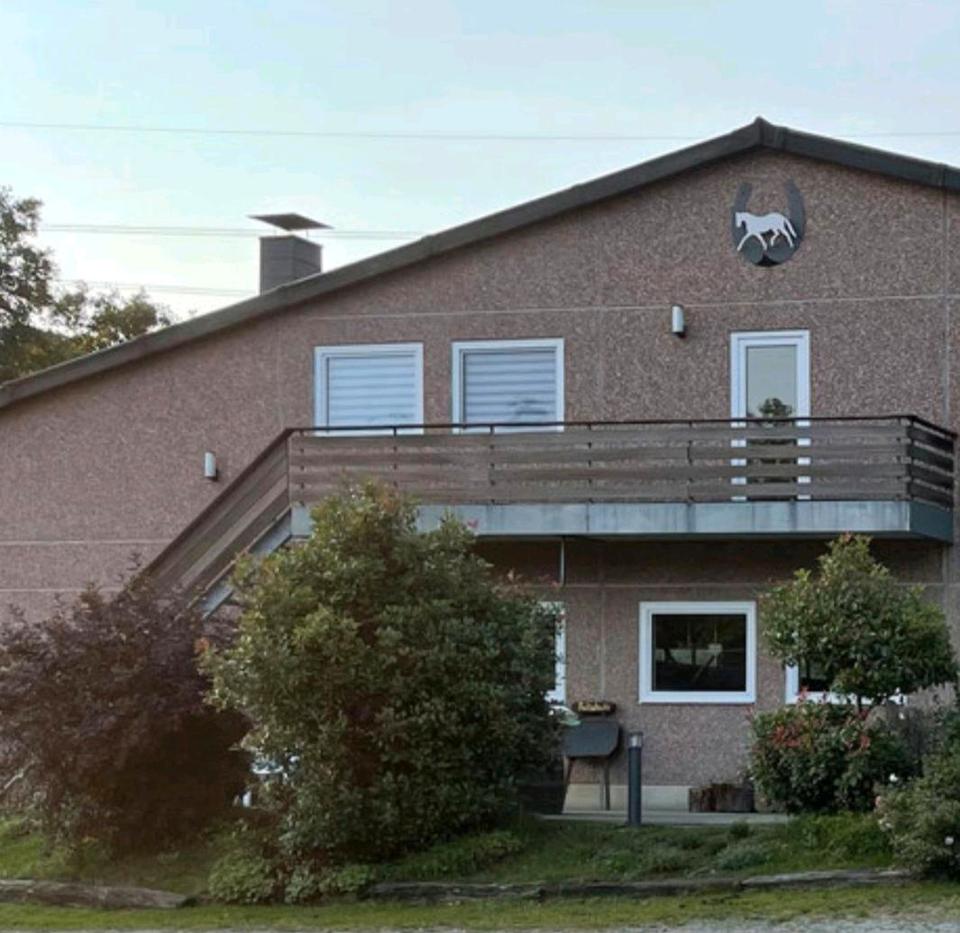 Thumbnail-Ferienwohnung Monteurwohnung Reiterurlaub