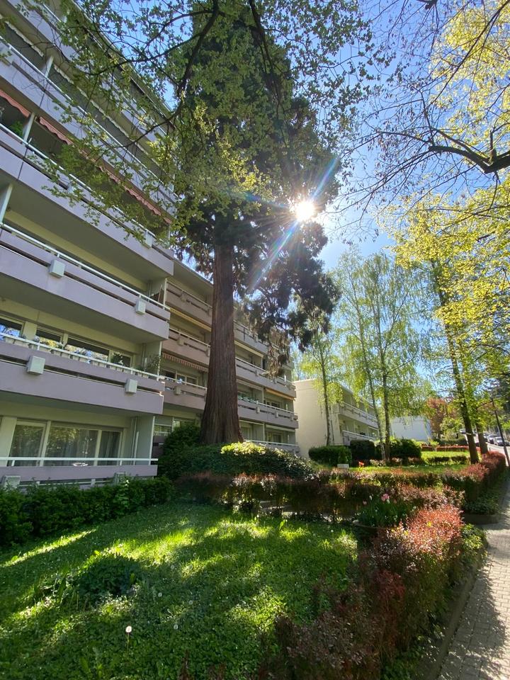 Thumbnail-Charmantes 1-Zimmer-Apartment in Kurparknähe, Wiesbaden