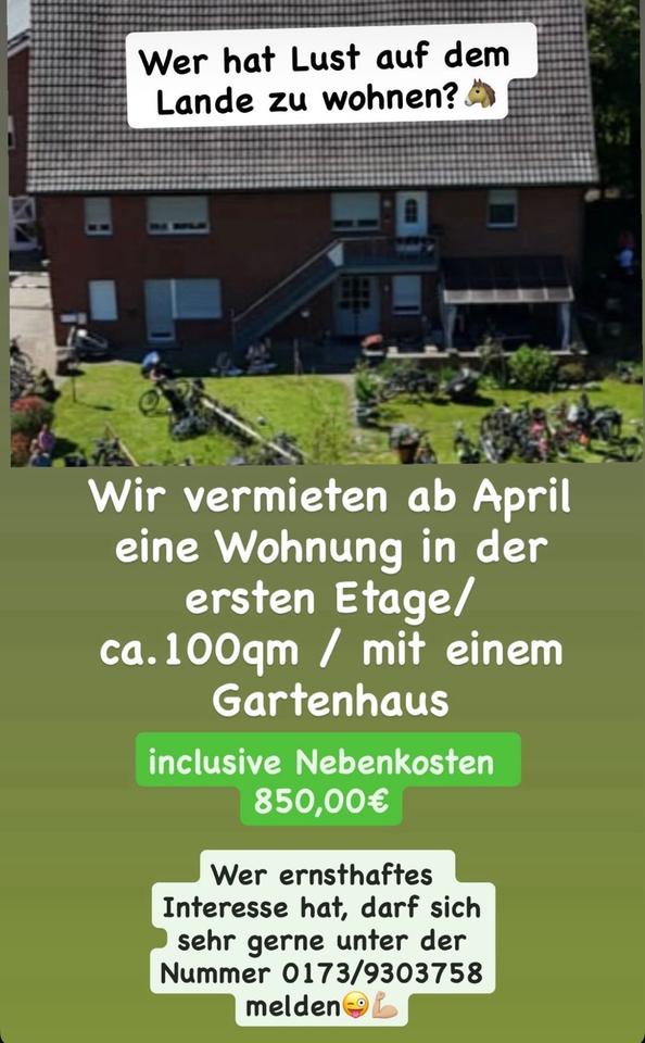 Thumbnail-Wohnung auf einem Reiterhof im schönen St.Vit zuvermieten