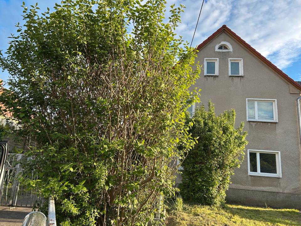Thumbnail-Wohnhaus mit Scheune und Grundstück in Königsbrück, OT Stenz