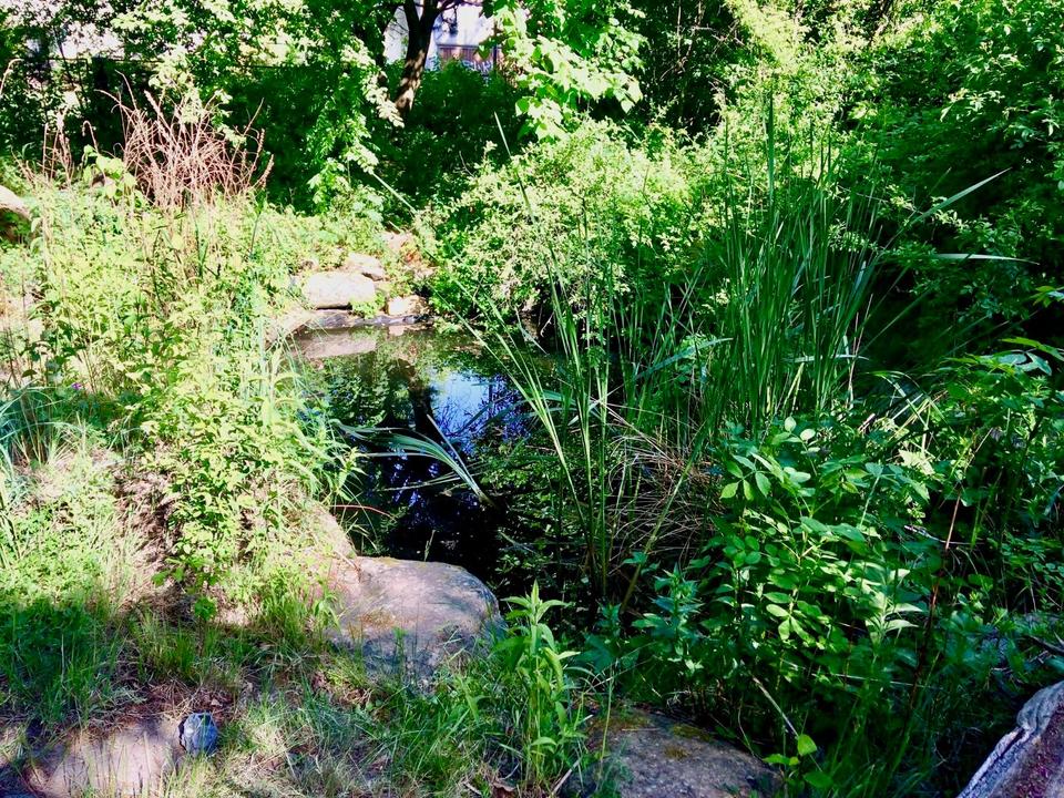 Thumbnail-Naturparadies mit Teich - 3.600qm Grundstück mit kleinem Wohnhaus