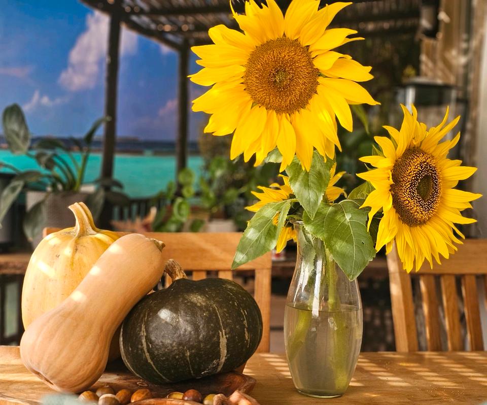 Thumbnail-Traum Eigentum Wohnung in Duisburg Süd nähe Sechseenplatte Privat