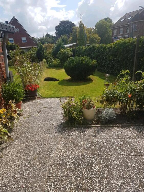 Thumbnail-4-Zi.-Küche-Bad-Wintergarten-Terasse 120qm in 48455 Bad Bentheim