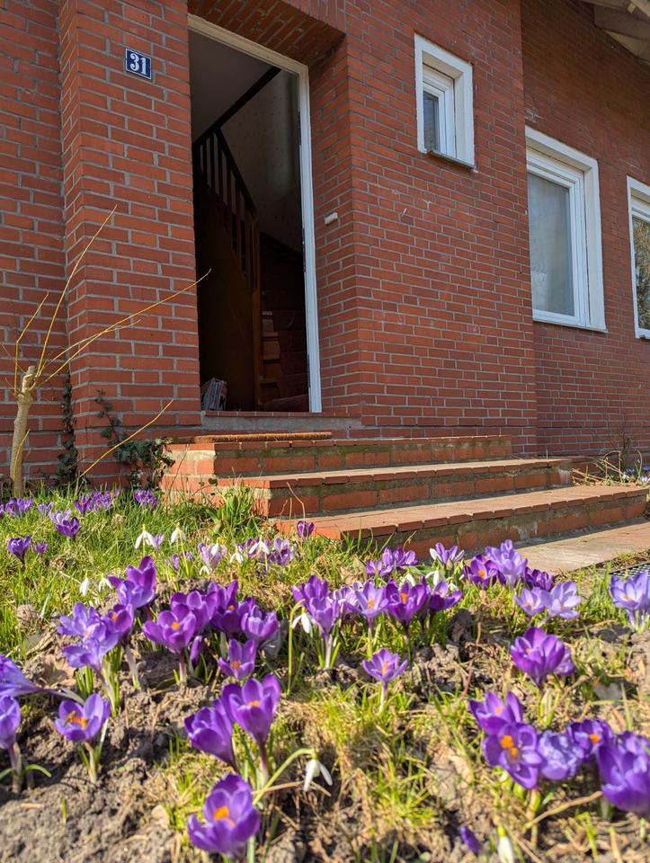 Thumbnail-Oyten, Bassen - Vollunterkellertes Einfamilienhaus