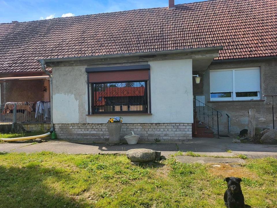 Thumbnail-Einfamielenhaus mit 5000 m2 Grundstück