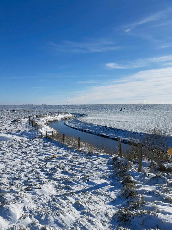 Thumbnail-Nordsee Esens Bensersiel Ferienwohnung Hund Weihnachten frei