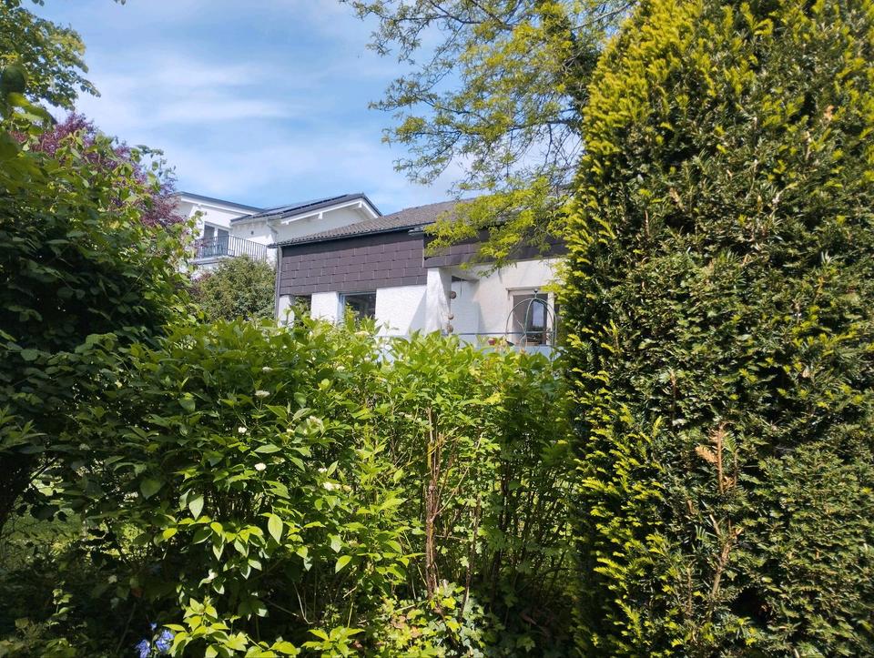 Thumbnail-Architekten Haus