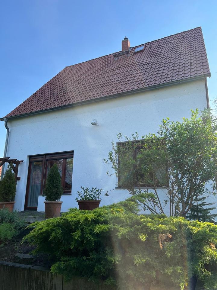 Thumbnail-Ihr neues Traumhaus in Berlin-Lankwitz