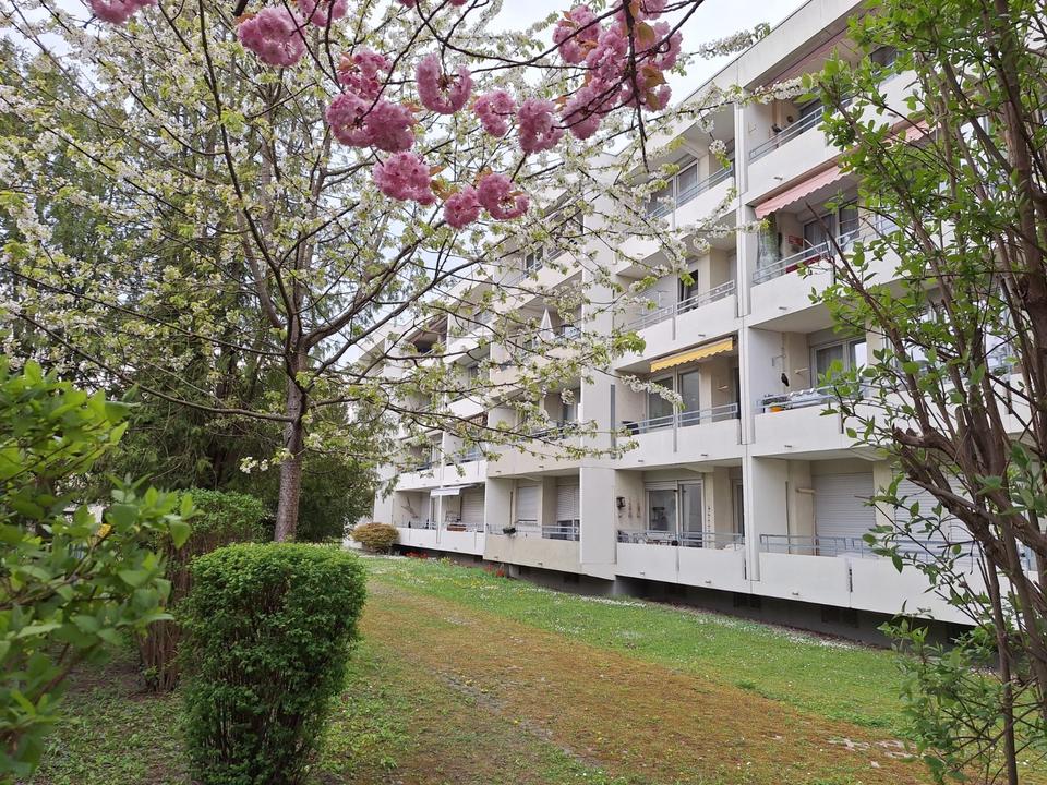 Thumbnail-1 Zimmer Wohnung in Lechhausen zu vermieten