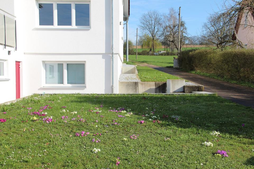 Thumbnail-Schönes Einzimmerapartment in herrlicher Lage - GP-Bartenbach