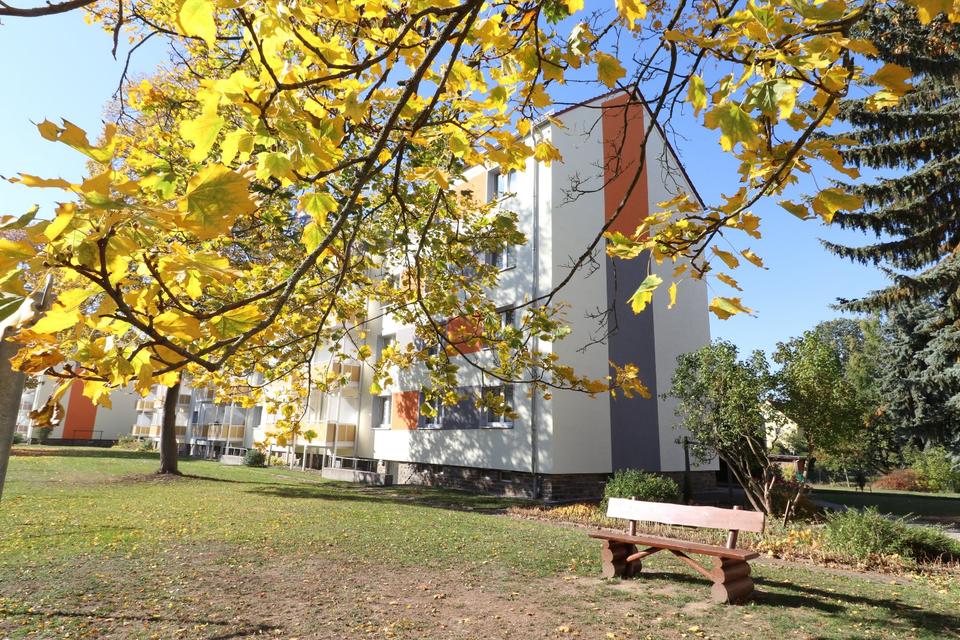 Thumbnail-Neuwertige 4-Raum-Wohnung mit Dusche im EG in Flöha