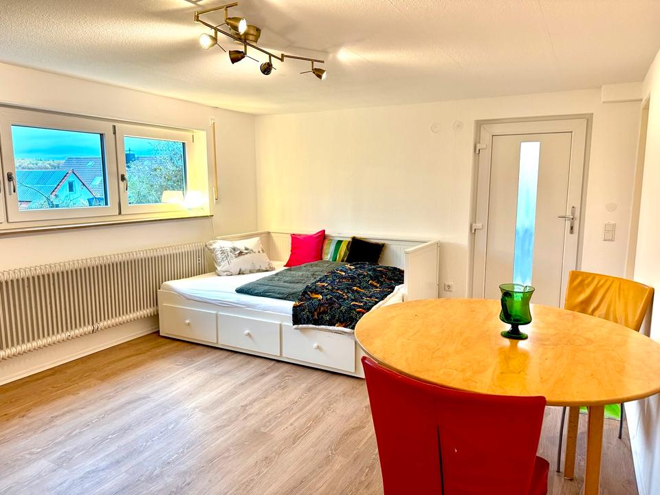 Thumbnail-1 12 Zimmer Wohnung in Höchberg