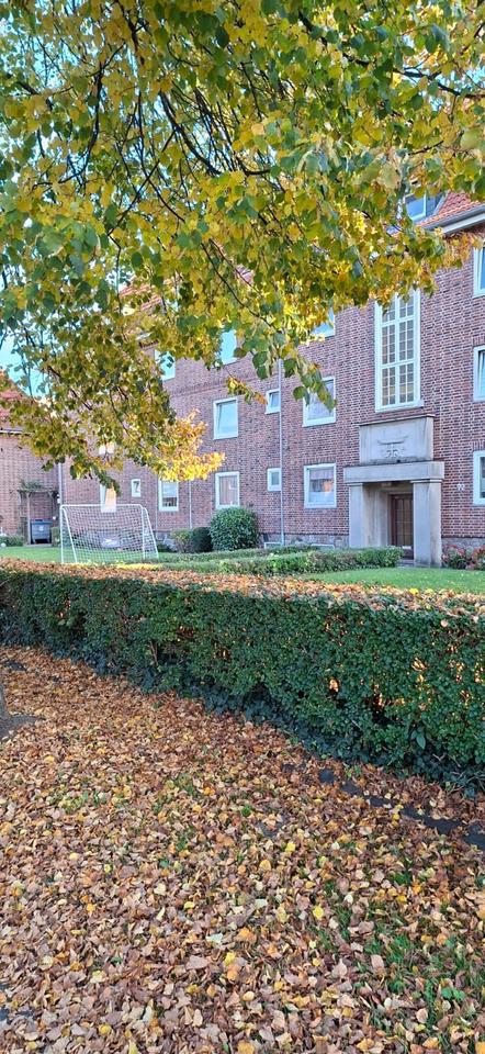 Thumbnail-Schönes, frisch saniertes 1-Zimmer Apartment zu vermieten