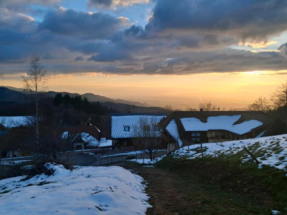Thumbnail-2-Zimmer-Wohnung im Grünen zu vermieten ❤️