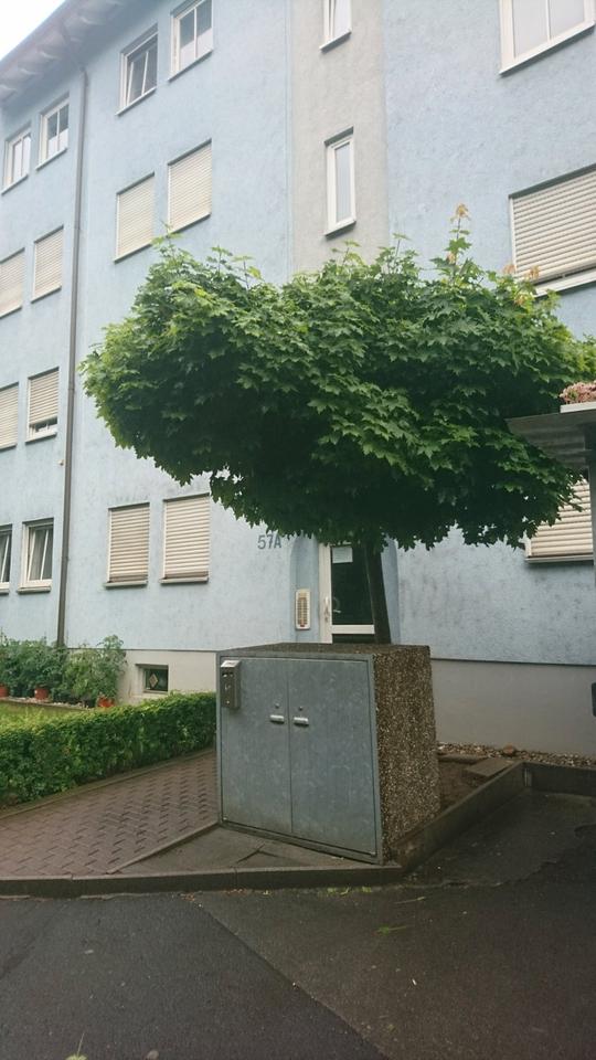 Thumbnail-Schöne 1 Zimmerwohnung komplett möbeliert in Schweinfurt