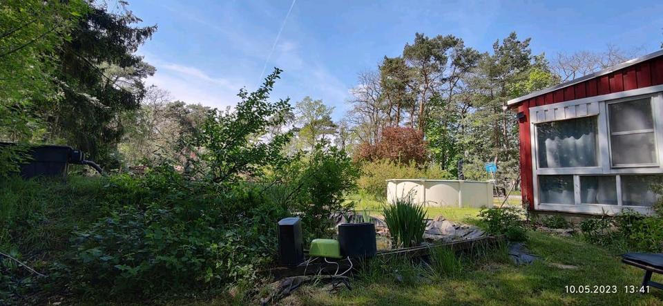 Thumbnail-Haus mit großzügigen Grundstück in Wildenbruch