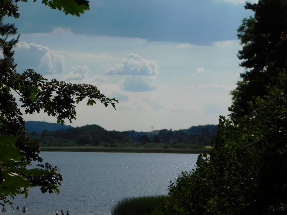 Thumbnail-Ferienbungalow in Herzsprung