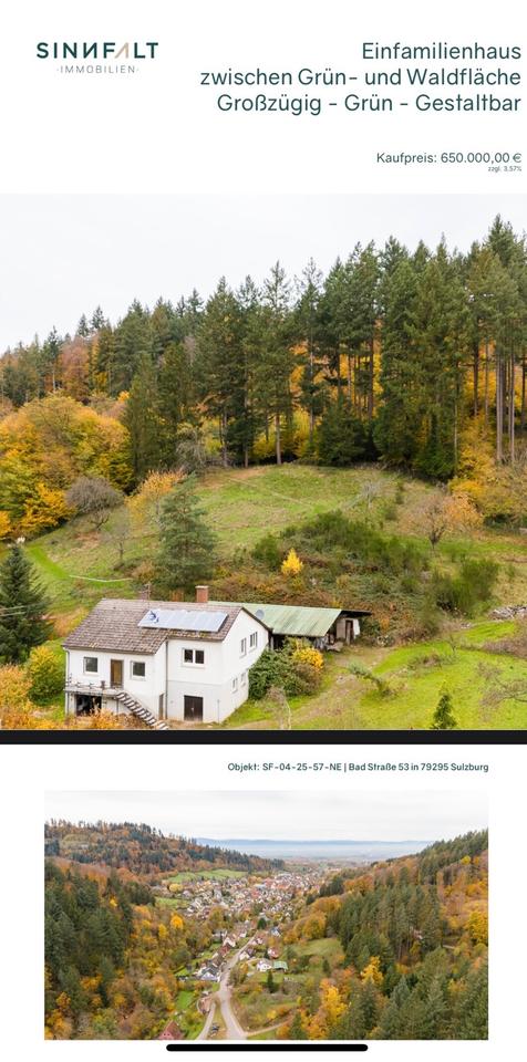 Thumbnail-Immobilen in sulzburg 79295