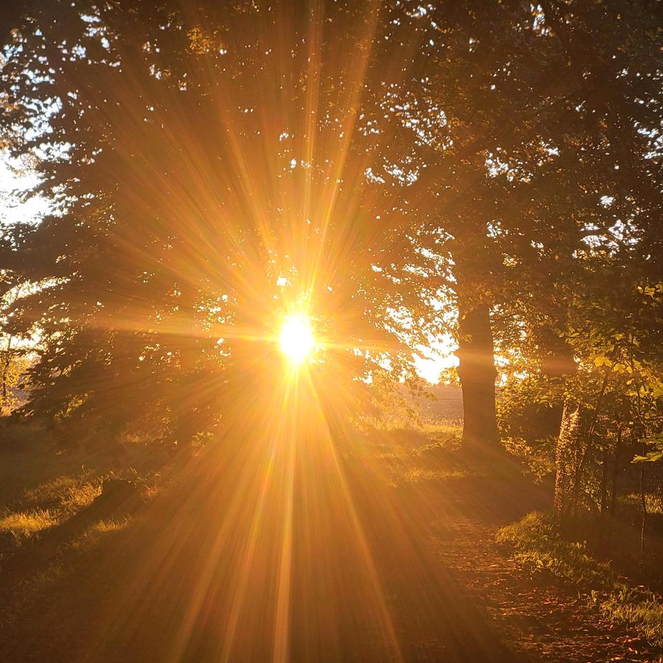 Thumbnail-Charaktervolles Einfamilienhaus- ohne Makler