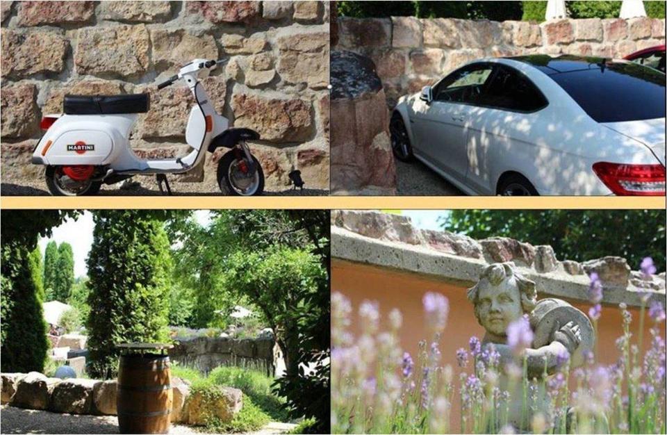 Thumbnail-Apartment in mediterran bayerischer Lebensart im Grünen