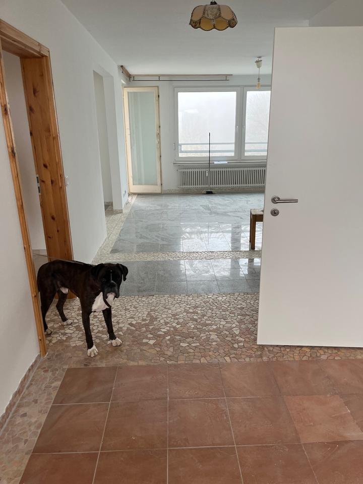 Thumbnail-Helle 2 - 2,5 Zimmer Wohnung zu vermieten