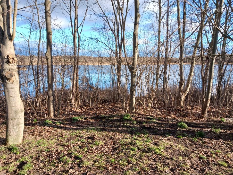 Thumbnail-Freizeitgrundstück am Seemann !!! Herbstpreis !!!