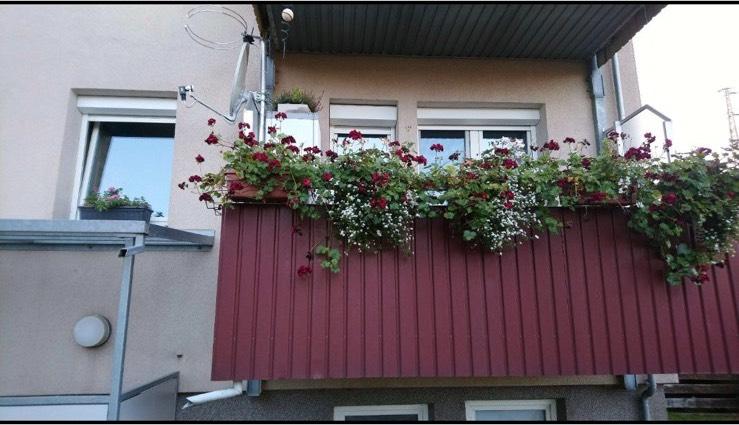 Thumbnail-3 Zimmer Erdgeschoss-Wohnung mit Balkon