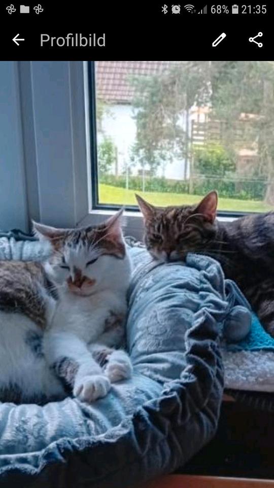 Thumbnail-Wir 62+60j. su. ab Aug.2026 eine Whg. ab 2 Zi. in FO. o. Umgebung