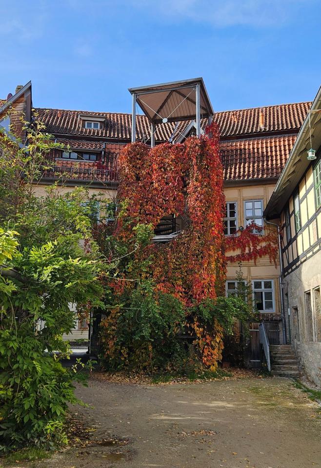 Thumbnail-Wunderschöne 3-Zimmer-Wohnung im Herzen von Bad Langensalza