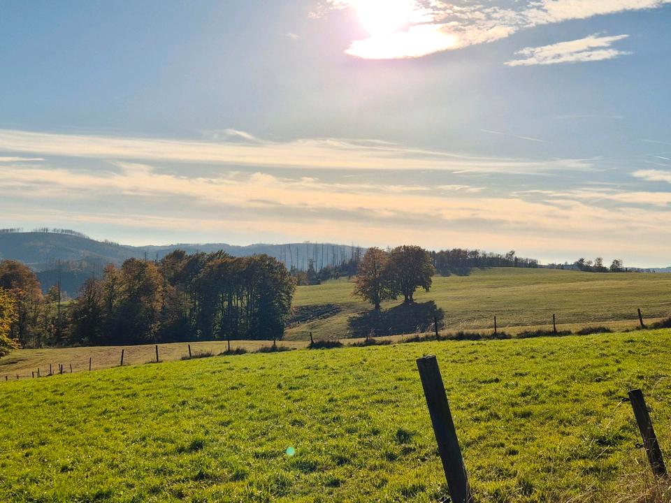 Thumbnail-Gemütliche Ferienwohnung Harz Braunlage Andreasberg Waldrandlage
