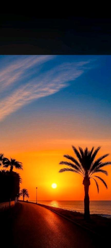 Thumbnail-befristete Wohnung zu vermieten - Alicante