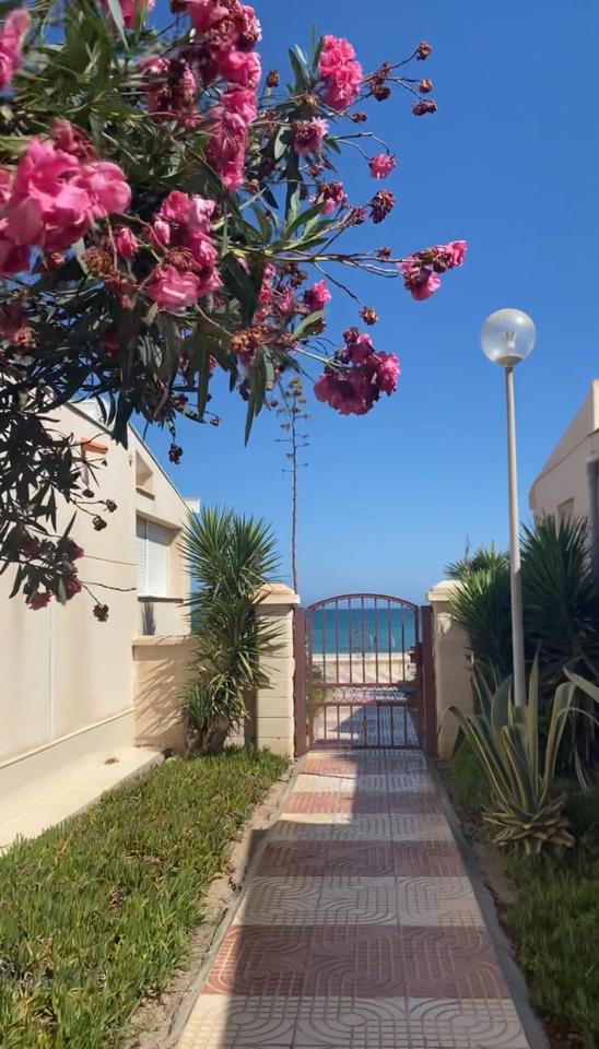 Thumbnail-Schöne Ferienwohnung direkt am Meer - Roquetas de Mar, Andalusien