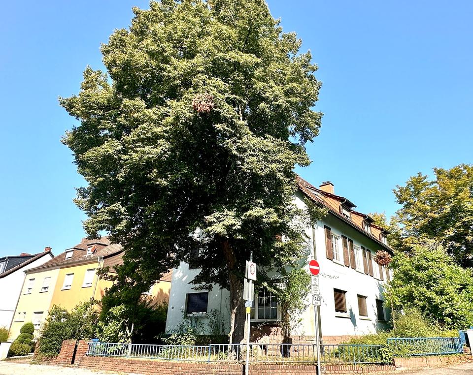 Thumbnail-Rodenhof 4-5 Zimmer Altbau Wohnung mit Garten Terrasse WG möglich