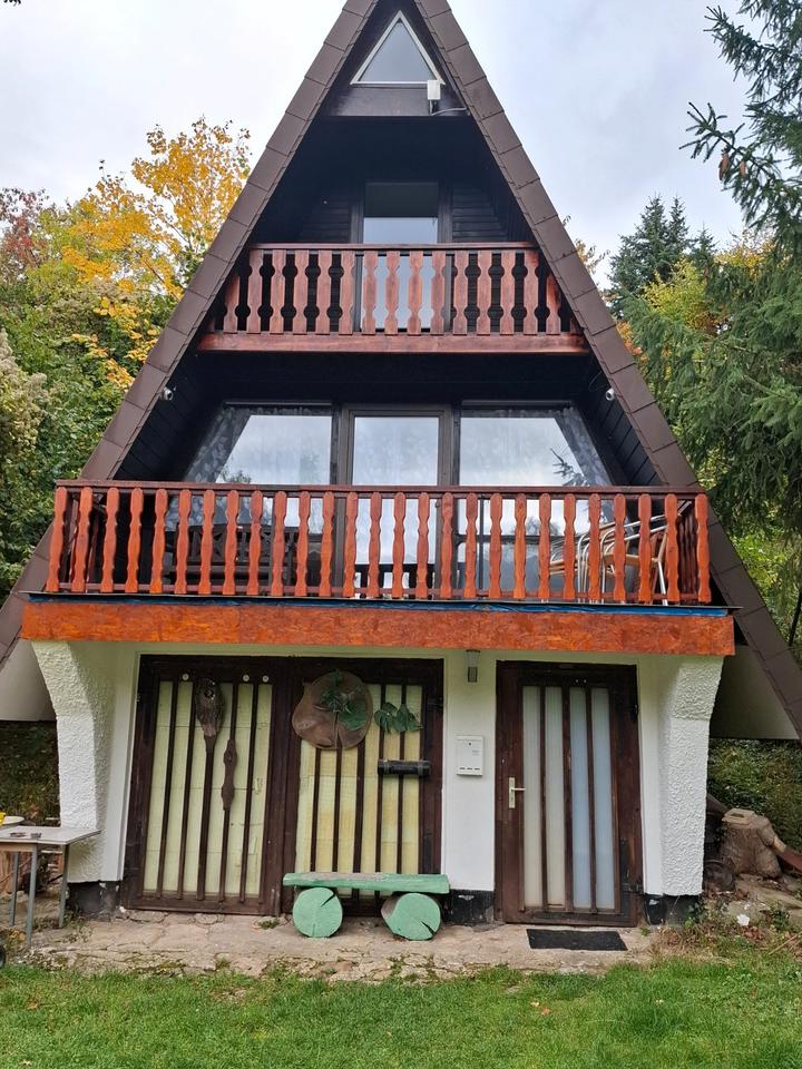 Thumbnail-Finnhütte am Waldrand