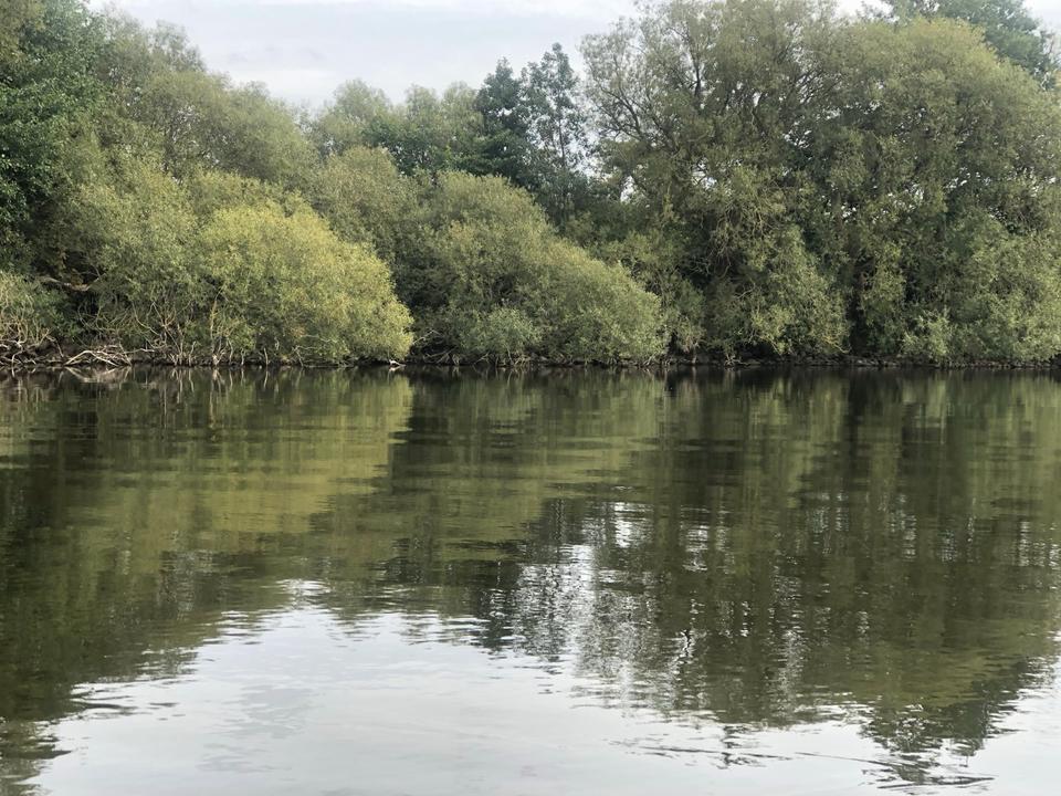 Thumbnail-Ferienbungalow am See in der Uckermark zur Miete