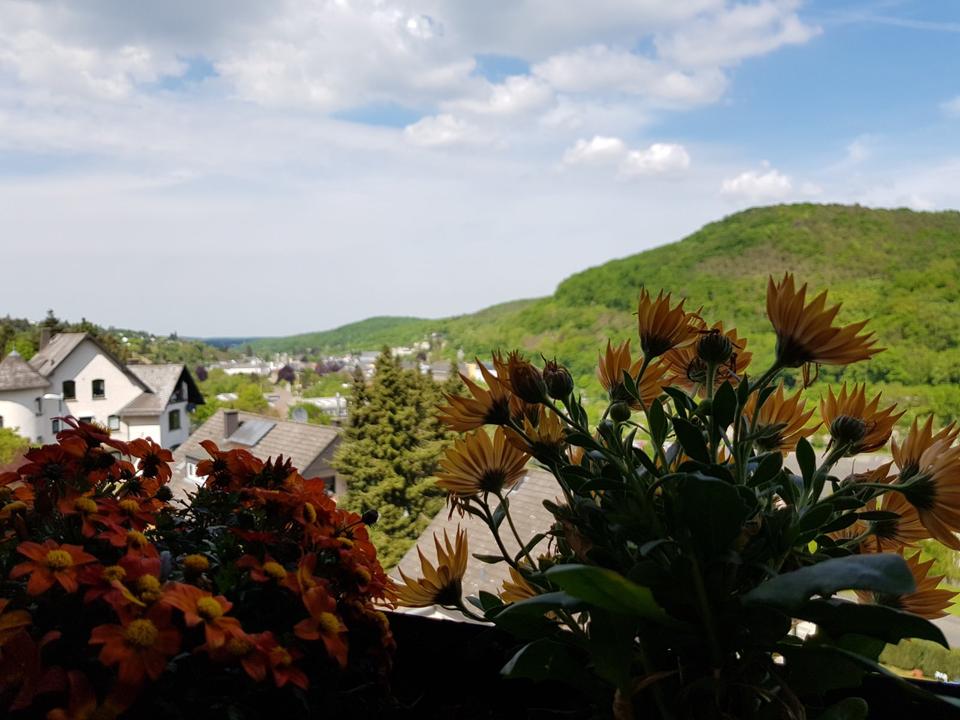 Thumbnail-Dachgeschosswohnung mit einzigartigem Blick über Bad Münstereifel