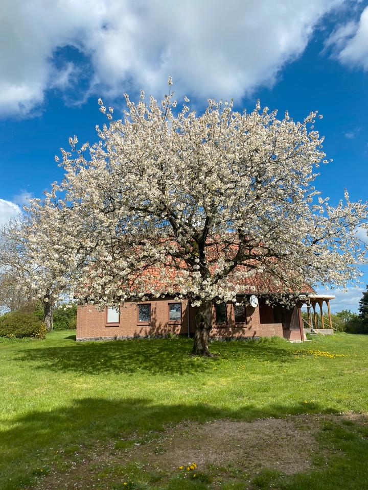 Thumbnail-Alleinlage, Badestelle & Hofidylle