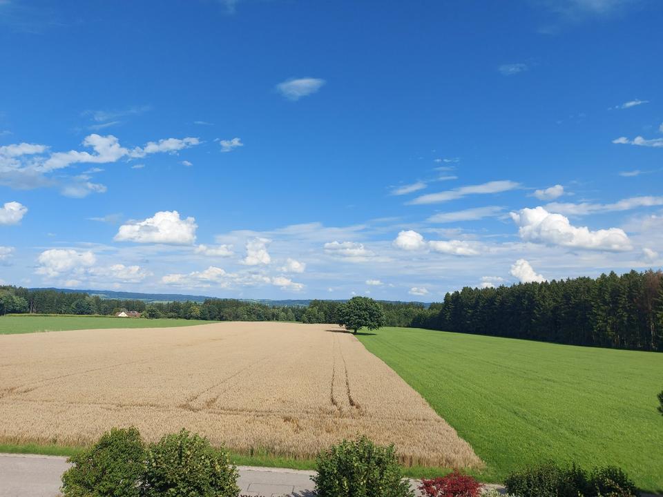 Thumbnail-Sehr schöne 5,5 Zimmer-Wohnung in traumhafter Lage