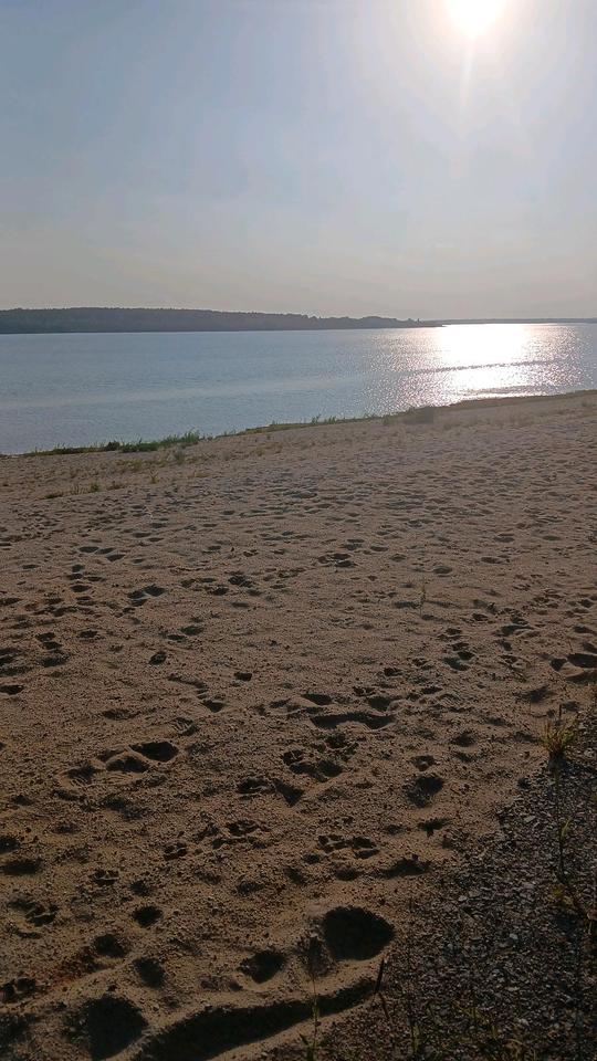 Thumbnail-Ferienwohnung am Seelhausener See