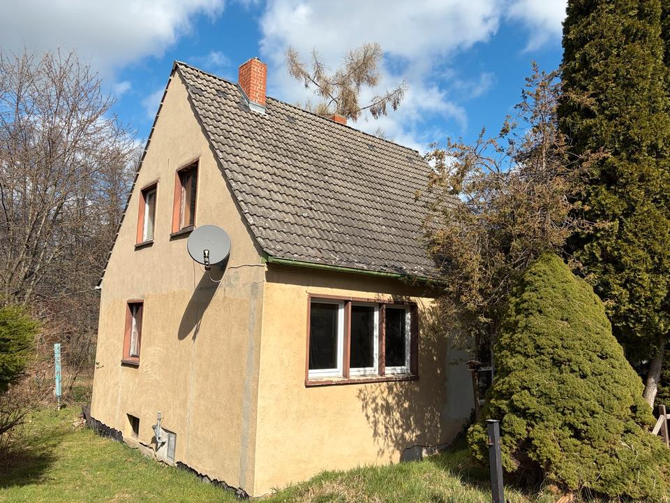 Thumbnail-Einfamilienhaus EW 65