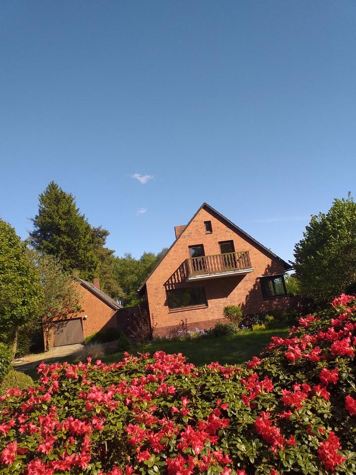 Thumbnail-EFH in 27442 Gnarrenburg Findorf