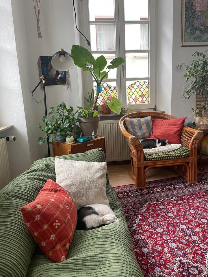 Thumbnail-WG Zimmer in entspannter zweier WG in Landau in der Pfalz