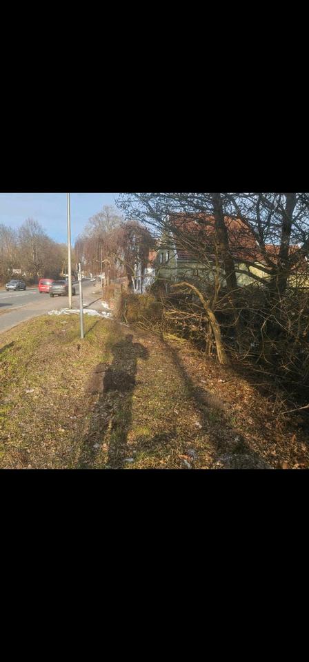 Thumbnail-Grundstück Wiese zu vermieten 4000m2 Del-Deichorst