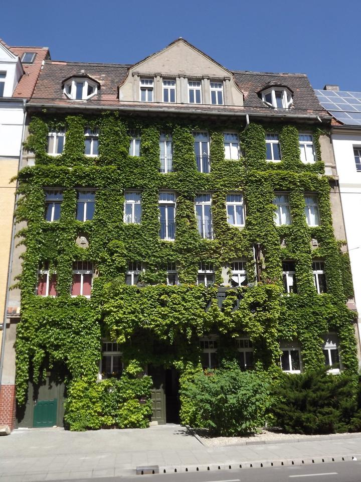 Thumbnail-Gemütliche 3-Raumwohnung in der südlichen Innenstadt