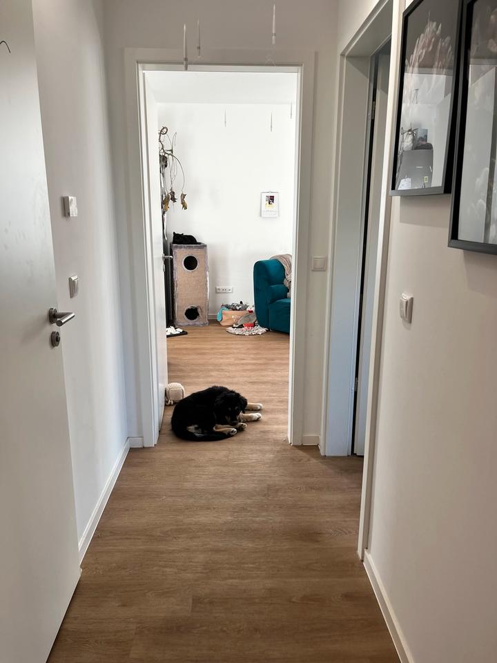 Thumbnail-2 Raumwohnung ab sofort