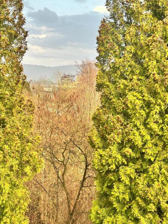 Thumbnail-Exklusive Ferienwohnung am Sorpesee